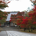 Photos: 京都_IMG_9494_l