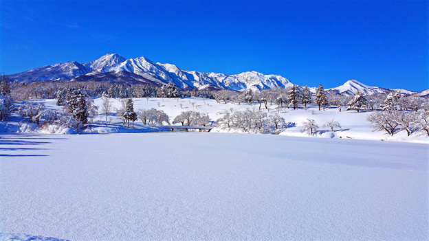 Photos: ～厳冬雪景～冬晴れの朝