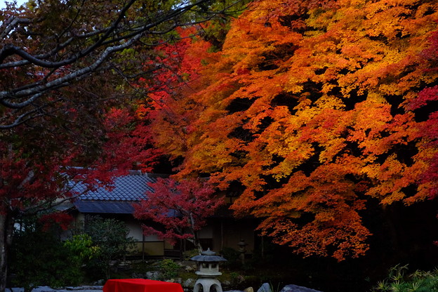 京都南禅寺のすさまじき紅葉