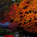 京都南禅寺のすさまじき紅葉