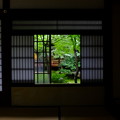 窓の向こうに緑あり、京都で撮影した京都的景色