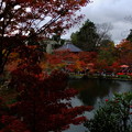 Photos: 京都の紅葉人気ランキングでたびたび一位になるほど有名で定番の京都東山永観堂