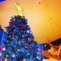 Photos: Blue Christmas tree