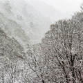 Photos: 雪降る山間