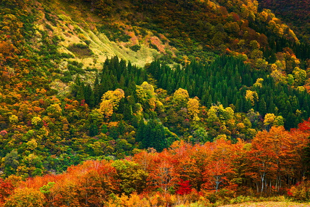 秋の景色