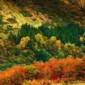 Photos: 秋の景色
