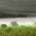 高原の朝霧