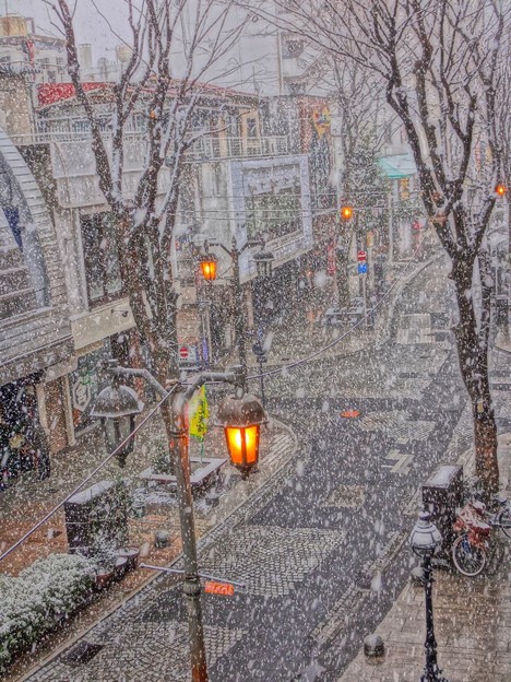 パセオ通りは吹雪