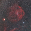 エンゼルフィッシュとアトラス彗星