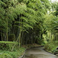 Photos: 竹林園