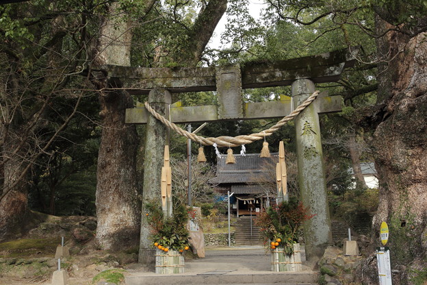 初詣・・長野諏訪神社