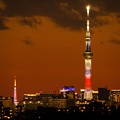 Photos: ２０２１年初撮り「東京２大タワー」