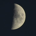Photos: 月齢6.3  上弦の月