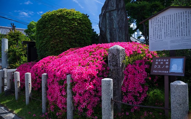 浄禅寺03