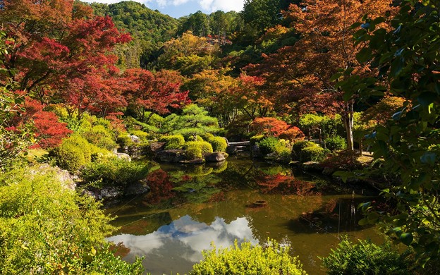 三室戸寺35