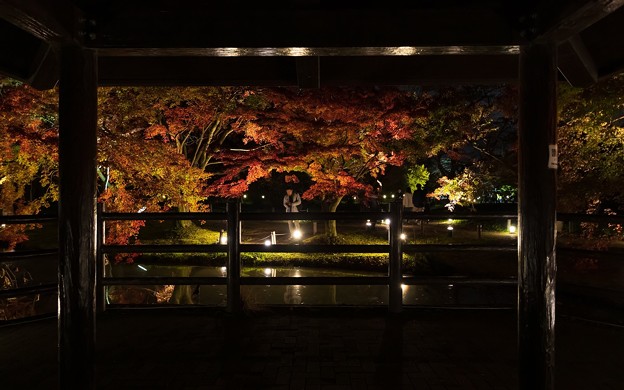 京都府立植物園14