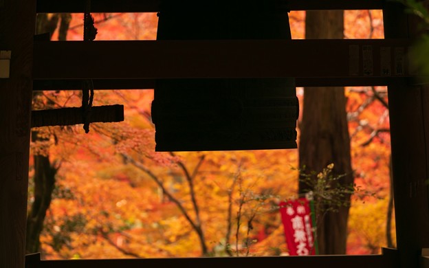 今熊野観音寺28