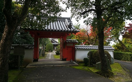 悲田院01