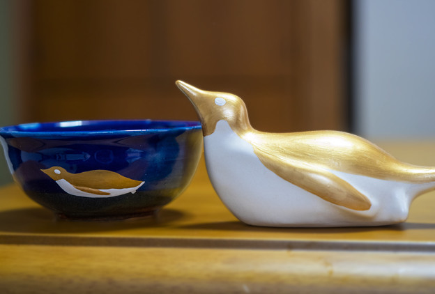 Photos: 金ピカ トボガンペンギン＆トボガンペンギン鉢