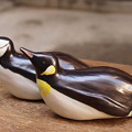 Photos: トボガンペンギン