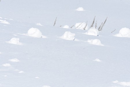 雪まくり