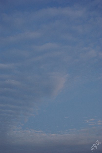 Photos: うろこ雲？いわし雲？さば雲？