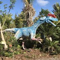 Dilophosaurus 2-25-18