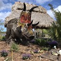 Photos: Diabloceratops and Babies 2-25-18