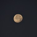 Photos: New Year Moon 1-1-21