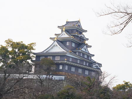 2月の岡山城眺望(2019年）