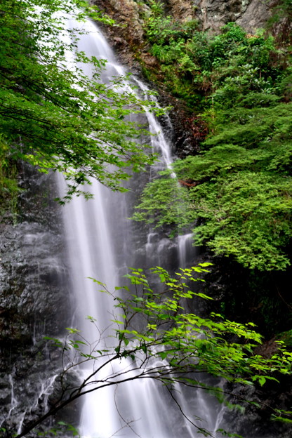 Photos: 箕面の滝