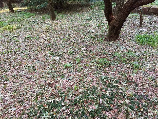 åç: é«å³¶è³å¹¸2018_1