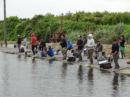 2019 キングフィッシャー夏の陣第弐戦