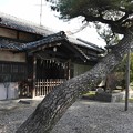 Photos: 20.02_04諏訪神社