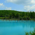 Photos: 青い池（左側）