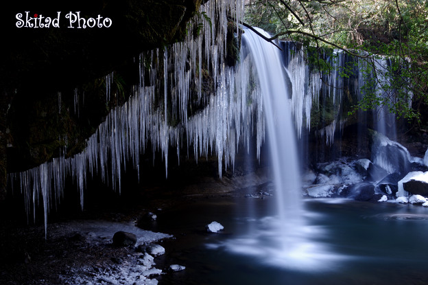 Photos: 氷柱の滝
