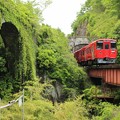 石橋と列車2