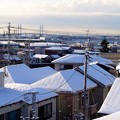 Photos: 雪の朝