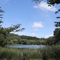 Photos: 森と泉
