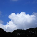 Photos: おまたせ夏雲
