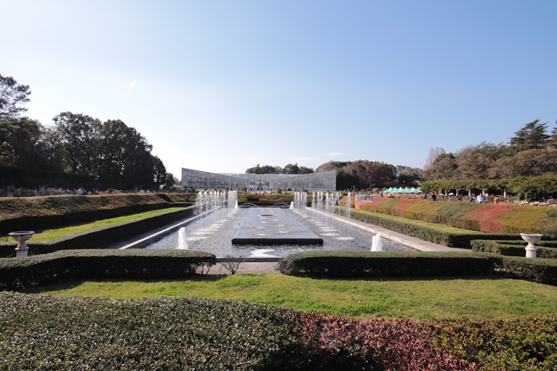 Photos: 神代植物公園