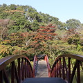 Photos: 紅葉橋