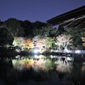 Photos: 日本庭園