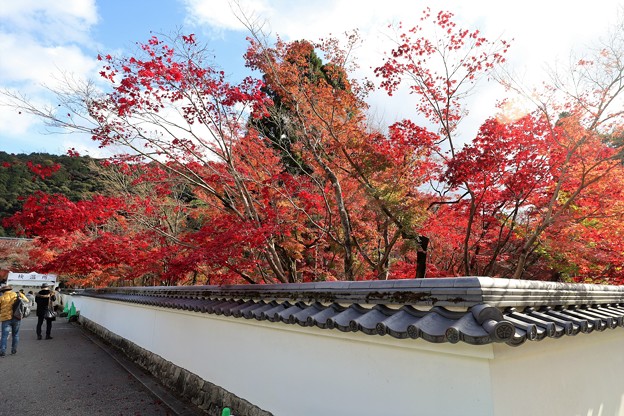 Photos: 京の秋