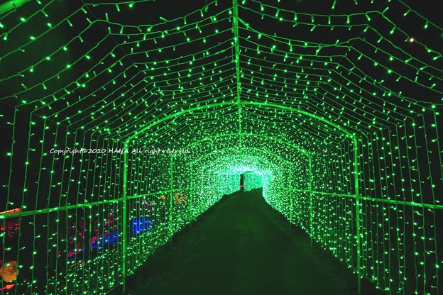 光の大トンネル