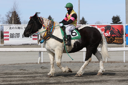 モノクロチャン 17 03 19 2r 帯広競馬場 クロミちゃんの競馬日記