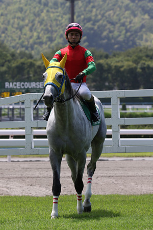 マイネルフィエスタ 18 07 28 第回 小倉サマージャンプ 小倉競馬場 クロミちゃんの競馬日記