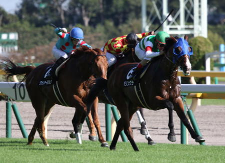 バリングラ 19 10 05 本栖湖特別 東京競馬場 クロミちゃんの競馬日記