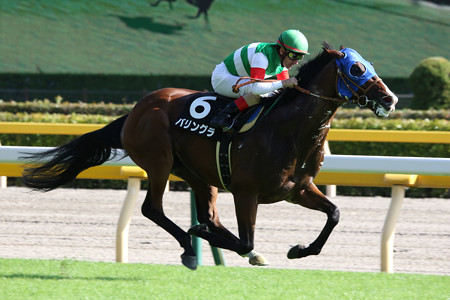 バリングラ 19 10 05 本栖湖特別 東京競馬場 クロミちゃんの競馬日記