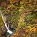 谷川岳ゴンドラから見える白鷺の滝